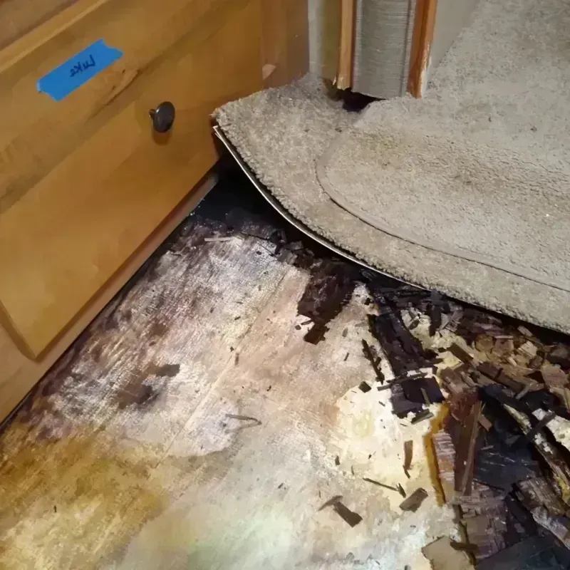 Wood Floor Water Damage in Port Charlotte, FL